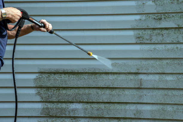 Best Sidewalk and Walkway Cleaning  in Troy, NC
